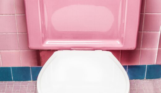 【絵本紹介】おトイレさん｜楽しく始めるトイレトレーニングにおすすめ！